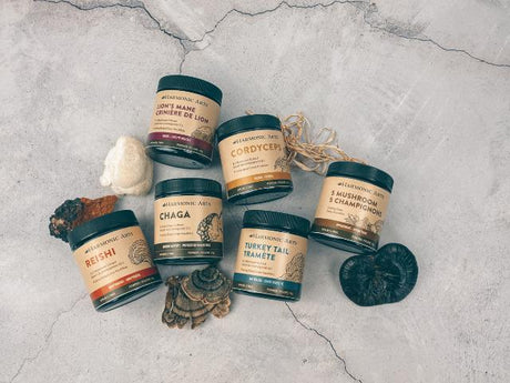 Mushroom Powders - Harmonic Arts