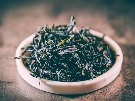 Seaweed + Algae - Harmonic Arts