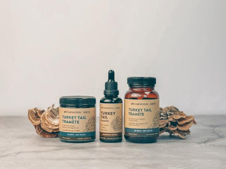 Turkey Tail Mushroom - Harmonic Arts