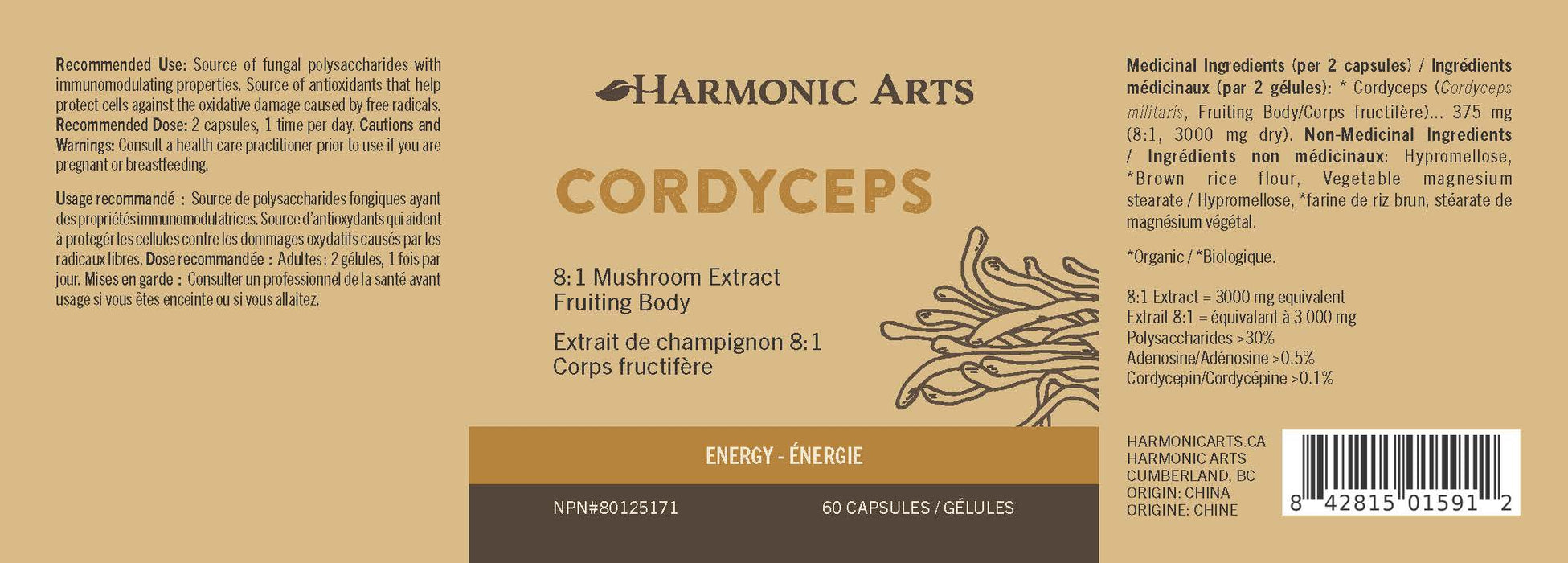 Gélules de champignons Cordyceps