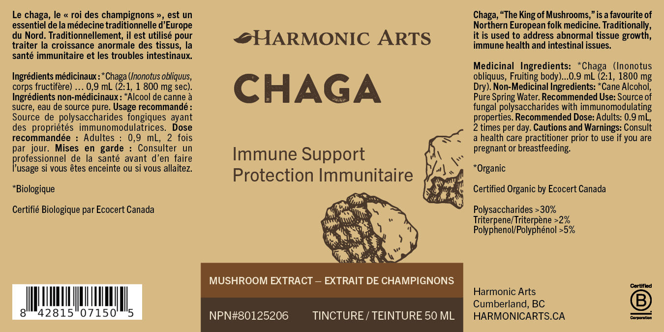 Teinture de champignon Chaga