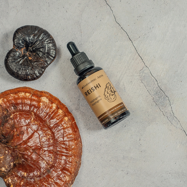 Reishi Mushroom Tincture