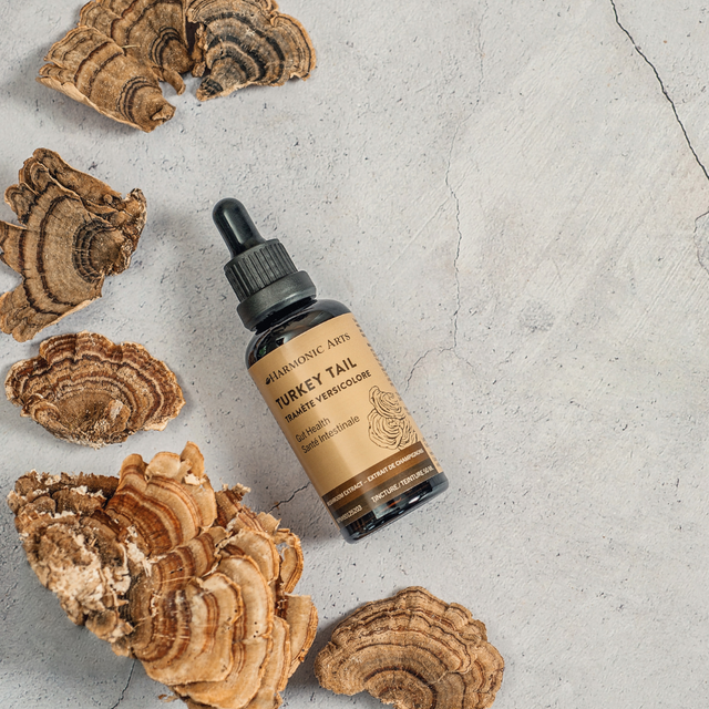 Turkey Tail Mushroom Tincture