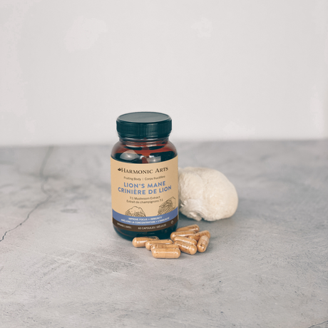 Lion's Mane Mushroom Capsules