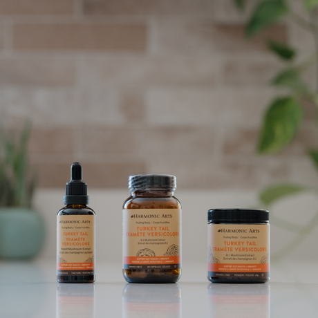 Turkey Tail Mushroom Capsules