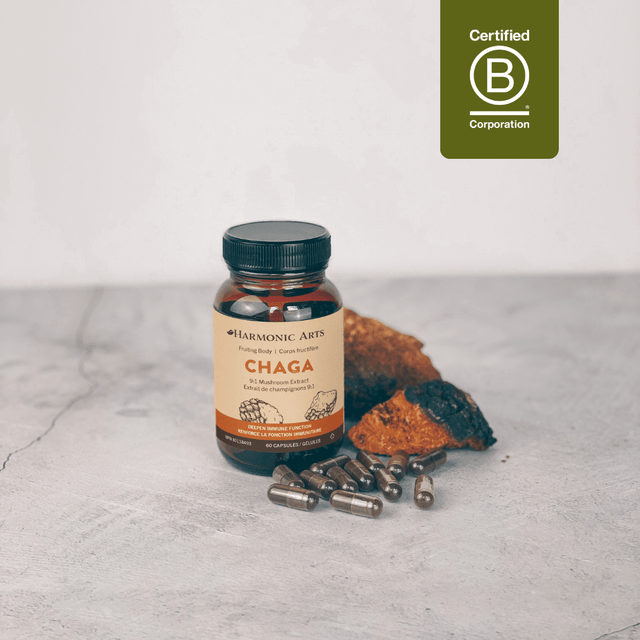 Chaga Mushroom Capsules - Harmonic Arts