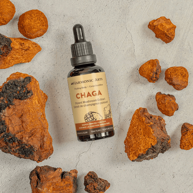 Chaga Mushroom Tincture - Harmonic Arts