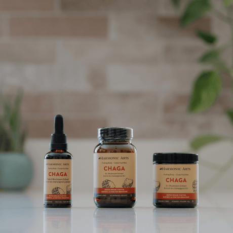 Chaga Mushroom Tincture - Harmonic Arts