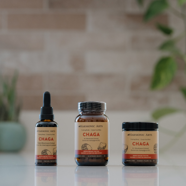 Chaga Mushroom Tincture
