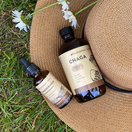 Chaga Syrup - Harmonic Arts