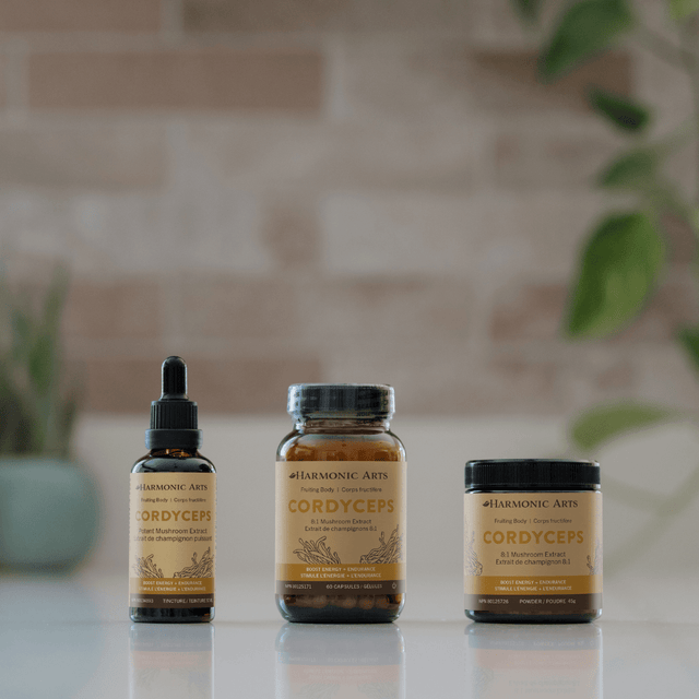 Cordyceps Mushroom Tincture - Harmonic Arts