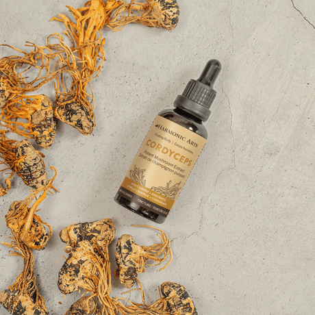 Cordyceps Mushroom Tincture - Harmonic Arts