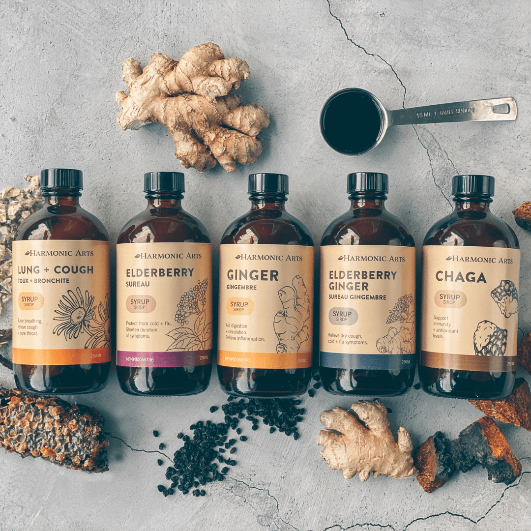 Ginger Syrup - Harmonic Arts