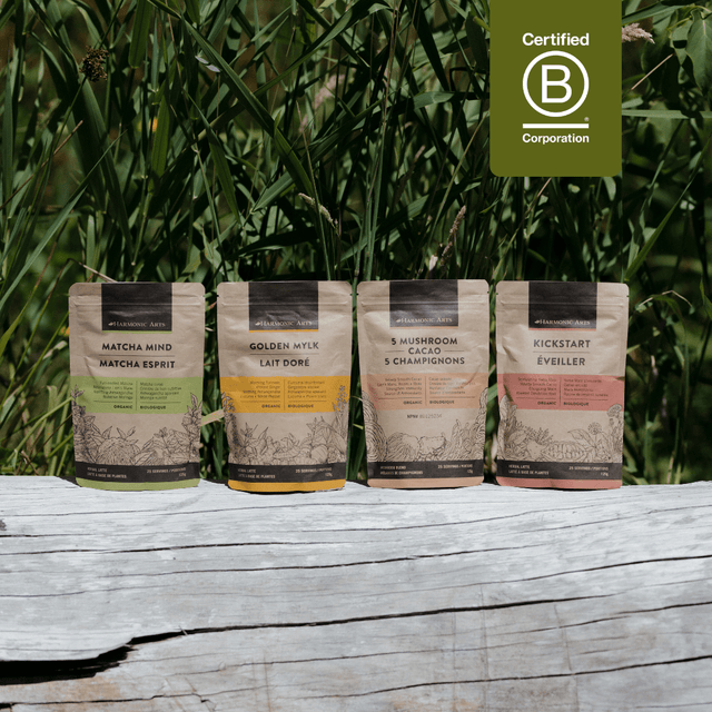 Kickstart - Harmonic Arts