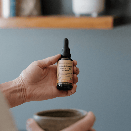 Klear Kidney Tincture - Harmonic Arts
