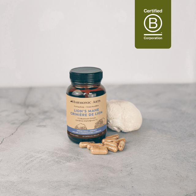 Lion's Mane Mushroom Capsules - Harmonic Arts