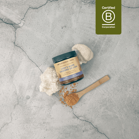 Lion's Mane Mushroom Powder - Harmonic Arts