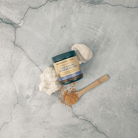 Lion's Mane Mushroom Powder - Harmonic Arts