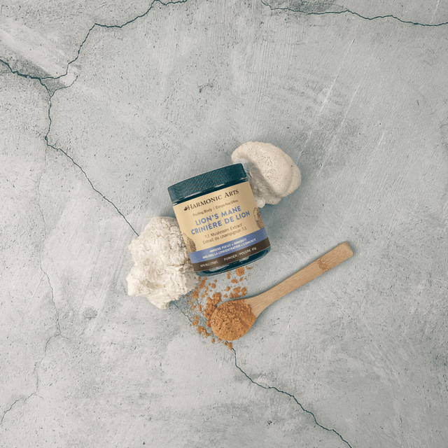 Lion's Mane Mushroom Powder - Harmonic Arts