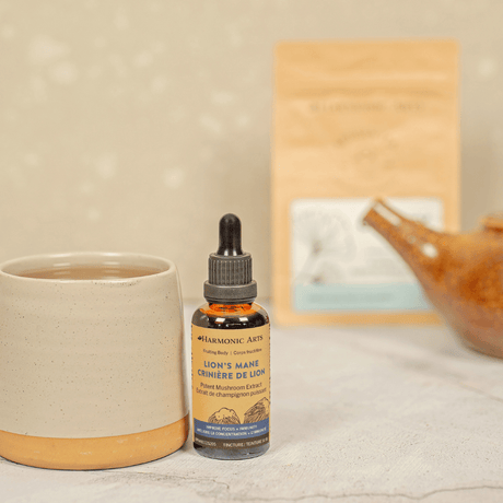 Lion's Mane Mushroom Tincture - Harmonic Arts