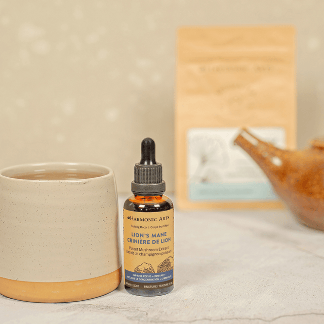 Lion's Mane Mushroom Tincture - Harmonic Arts