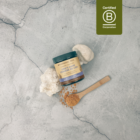 Poudre de crinière de lion concentrée 