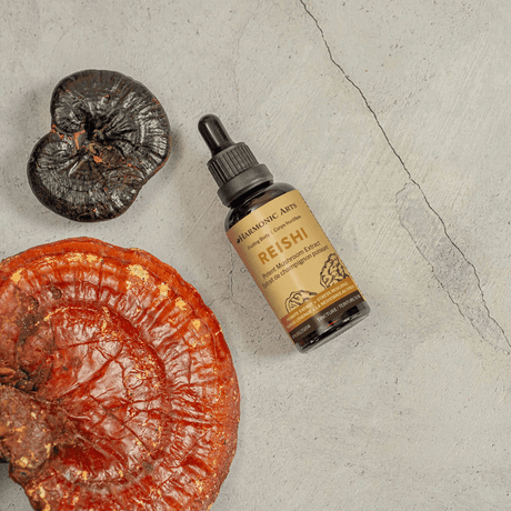 Reishi Mushroom Tincture - Harmonic Arts
