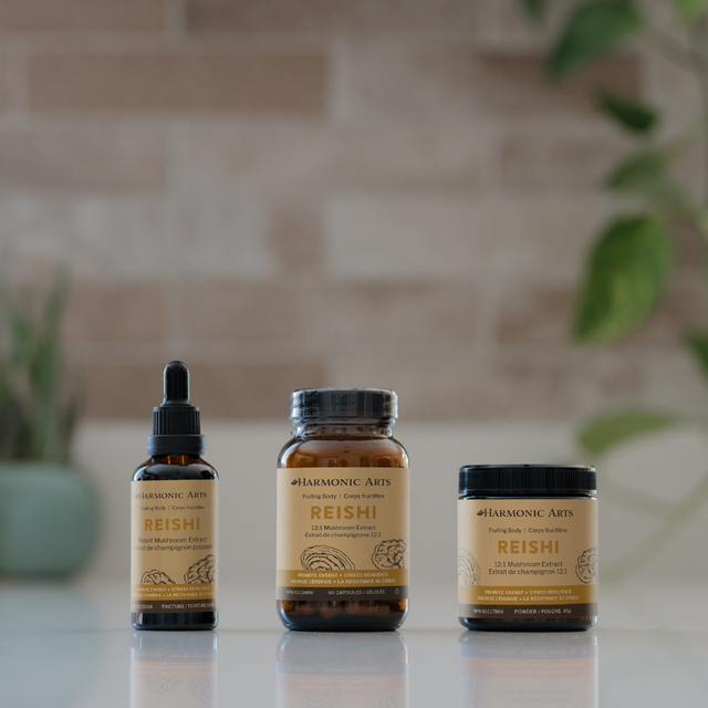 Reishi Mushroom Tincture
