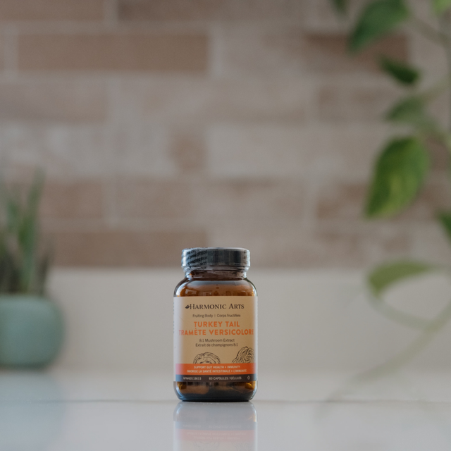 Turkey Tail Mushroom Capsules