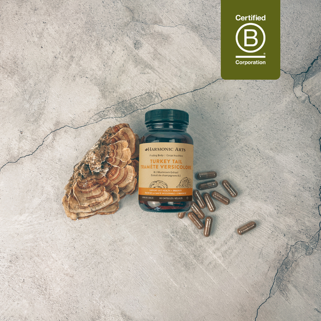 Turkey Tail Mushroom Capsules