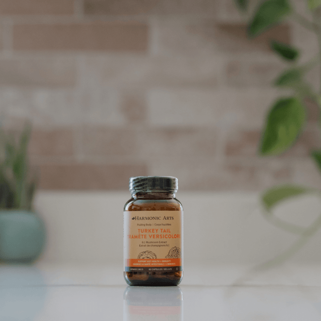 Turkey Tail Mushroom Capsules - Harmonic Arts