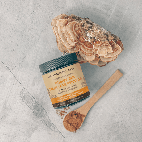 Turkey Tail Mushroom Powder - Harmonic Arts