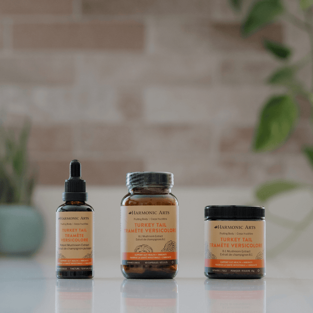 Turkey Tail Mushroom Tincture - Harmonic Arts