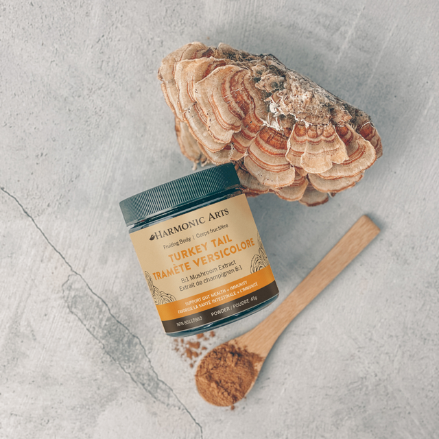 Turkey Tail Mushroom Powder