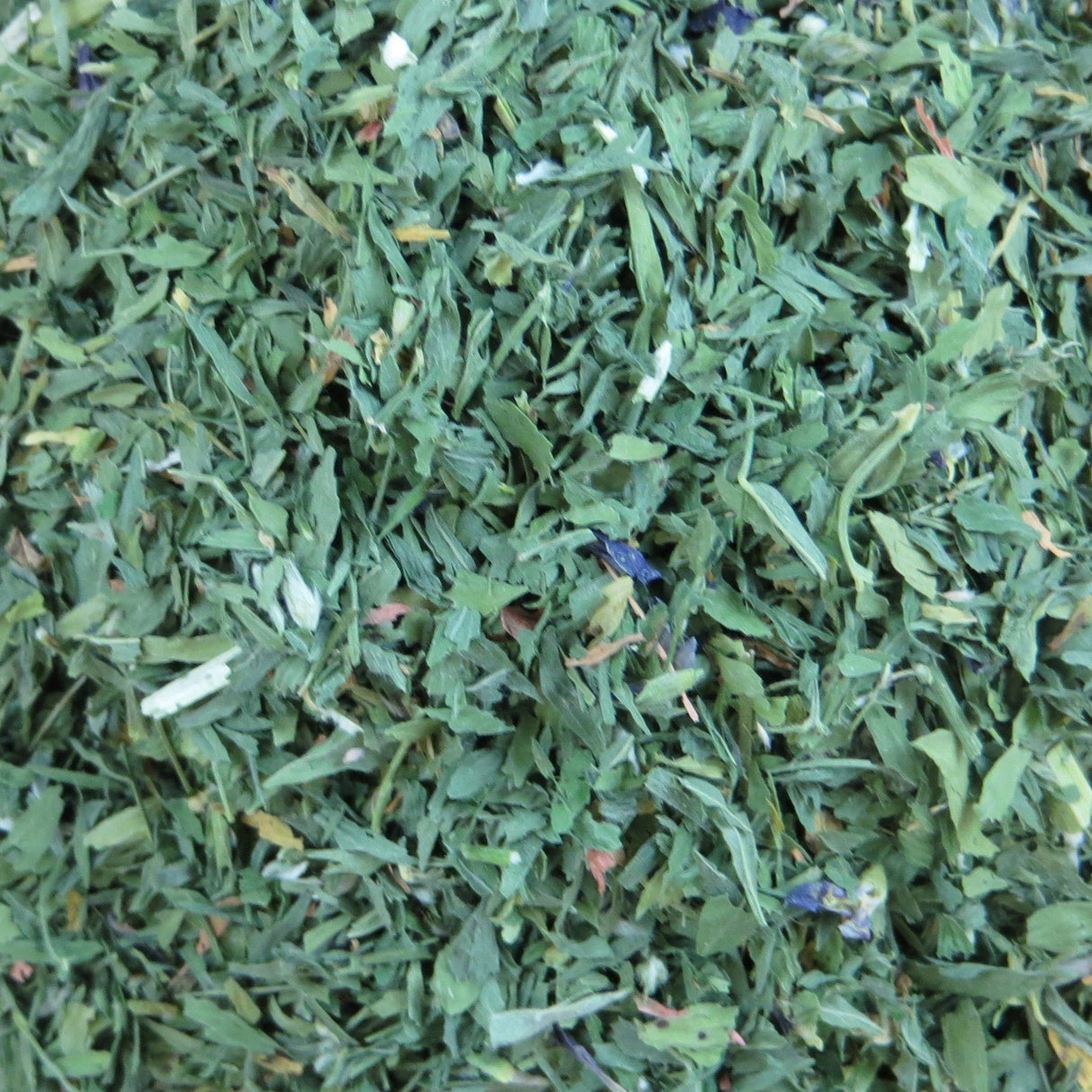 Alfalfa Leaf - Organic - Harmonic Arts