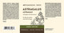 Astragalus Tincture - Harmonic Arts