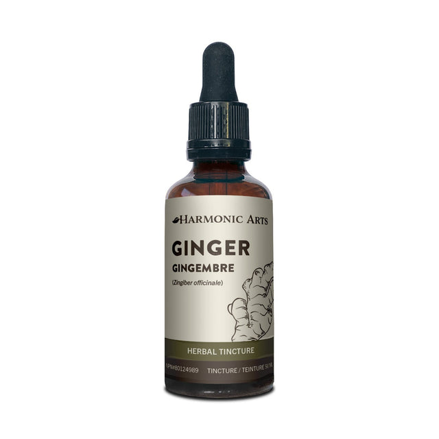 Ginger Root Tincture - Harmonic Arts