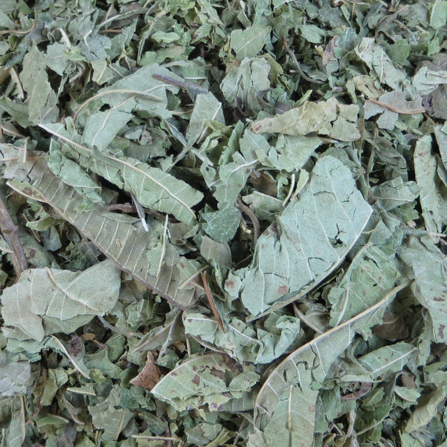 Lemon Verbena - Organic - Harmonic Arts