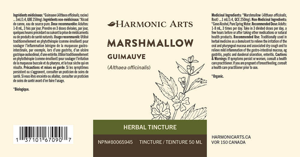 Marshmallow Root Tincture - Harmonic Arts