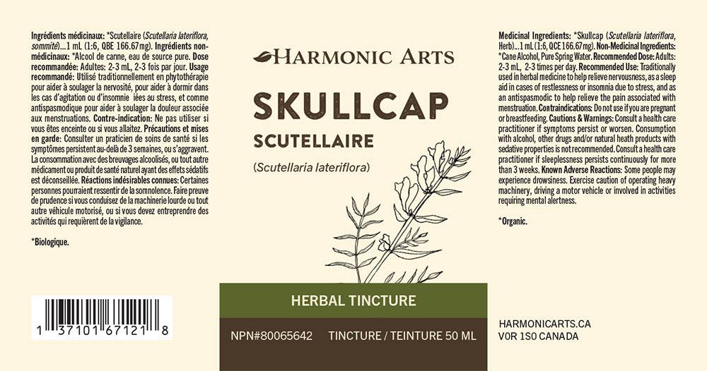 Skullcap Tincture - Harmonic Arts